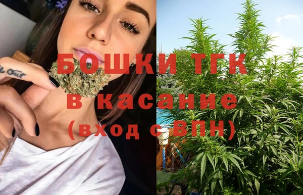 шишки Балабаново