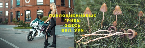MESCALINE Беломорск
