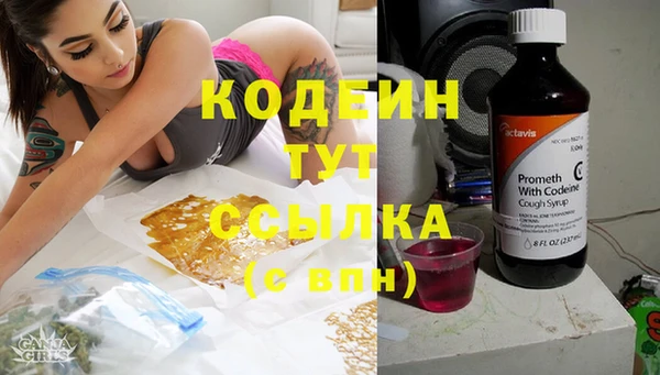 ГАЛЛЮЦИНОГЕННЫЕ ГРИБЫ Баксан