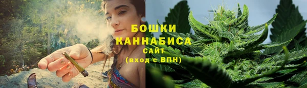 винт Рославль
